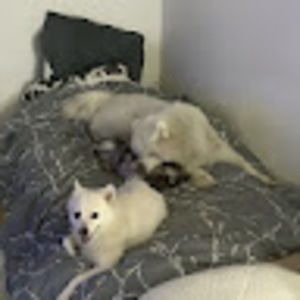 Meet your Posher, Matthew